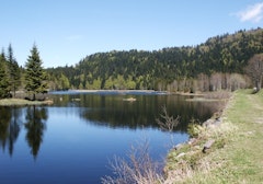 From Lac de Longemer to Lac de Lispach