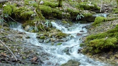 Gorges de la Vingeanne