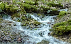 Gorges de la Vingeanne