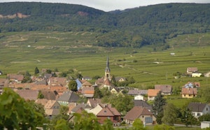 Grand Cru du Hatschbourg