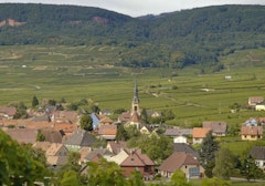 Grand Cru du Hatschbourg