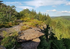 Grand Rougimont