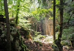 Around Ferrette