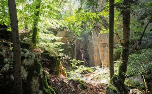 Around Ferrette