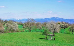 Circuit du Brunnenberg et de la Bellevue- Habsheim
