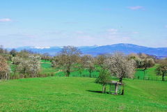 Circuit du Brunnenberg et de la Bellevue- Habsheim