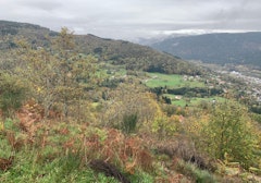 Heights of Saulxures-sur-Moselotte
