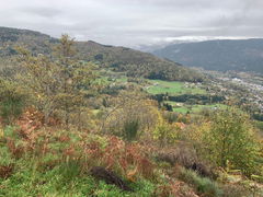 Heights of Saulxures-sur-Moselotte