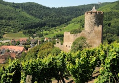 Heights of Kaysersberg