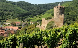 Heights of Kaysersberg
