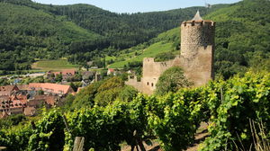 Hauteurs de Kaysersberg