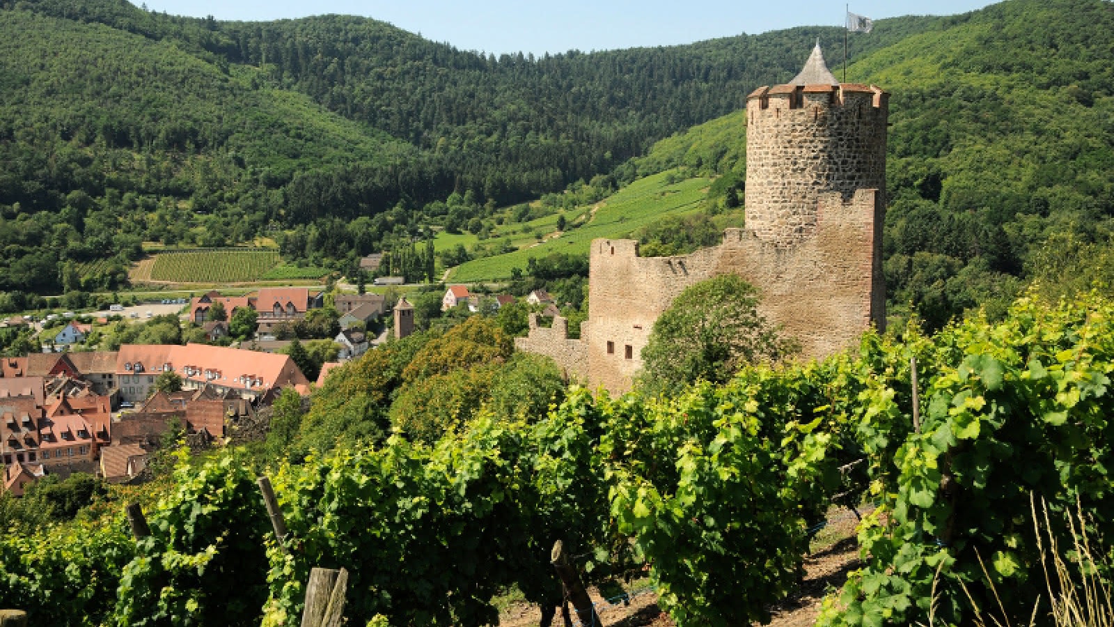 Hauteurs de Kaysersberg