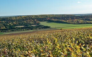 Coteaux et vignes de Montgueux