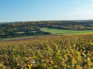Coteaux et vignes de Montgueux