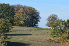 La Hutte