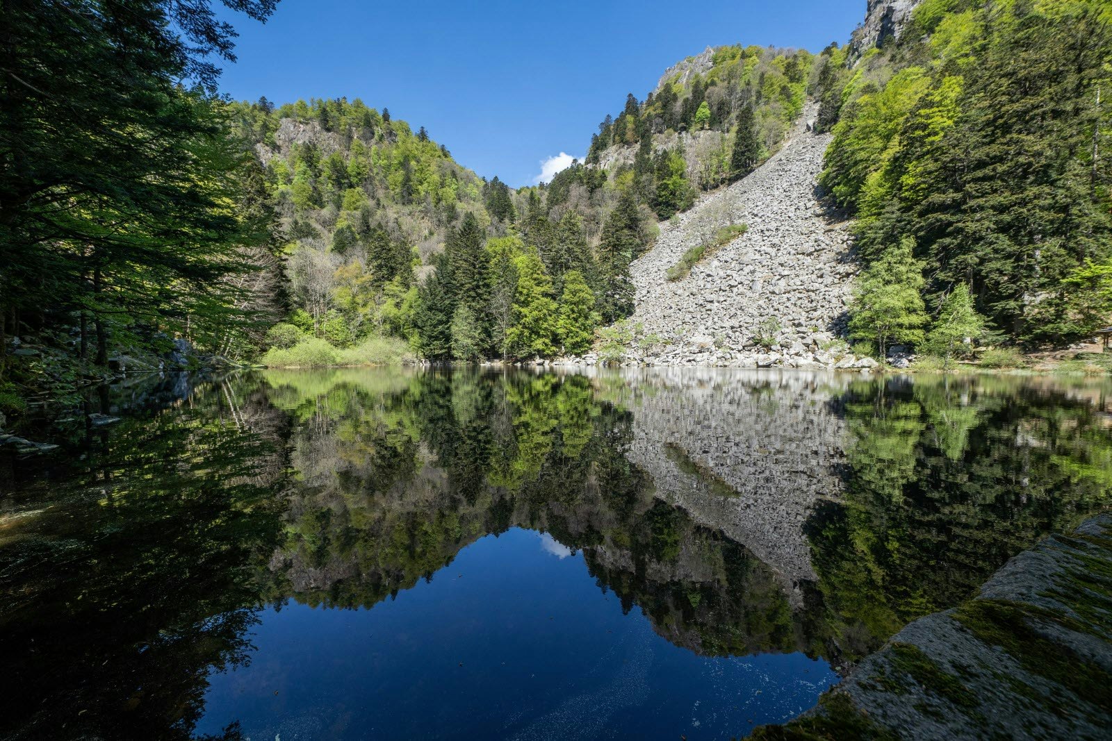 Lac de Fischboedle depuis Mittlach