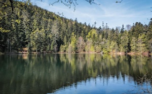Lac de la Maix from Vexaincourt