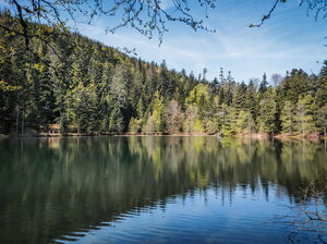 Lac de la Maix depuis Vexaincourt