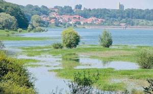 Lac de la Mouche