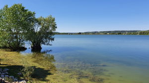 Lac de la Vingeanne