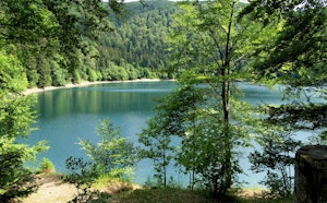 Lac du Ballon