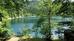 Lac du Ballon