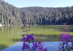 Lac Vert