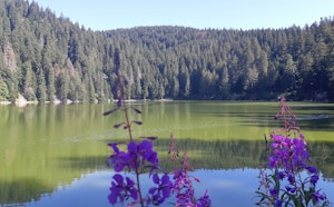 Lac Vert