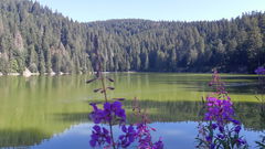 Lac Vert