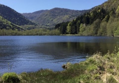 Lac d'Alfeld and Sewen