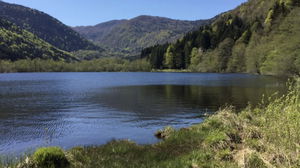 Lacs d'Alfeld et de Sewen