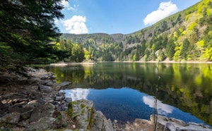 Lac de l'Altenweiher and Blanchemer