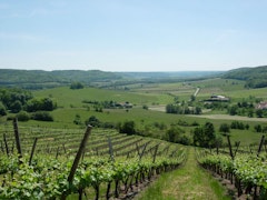 Loop of Coiffy-le-Haut
