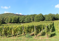 Loop of Leimbach