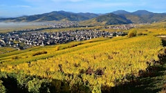 Heights of Sigolsheim