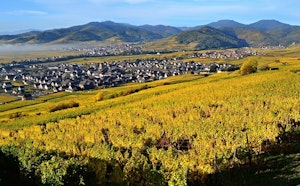 Heights of Sigolsheim