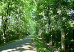 Parc de Pourtalès and Forêt de la Robertsau
