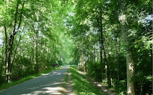 Parc de Pourtalès and Forêt de la Robertsau