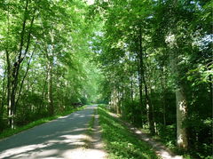 Parc de Pourtalès and Forêt de la Robertsau