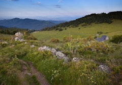 Petit Ballon d'Alsace from Col du Boenlesgrab