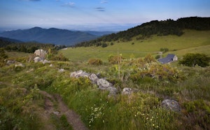Petit Ballon d'Alsace from Col du Boenlesgrab