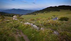 Petit Ballon d'Alsace from Col du Boenlesgrab