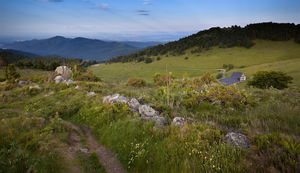 Petit ballon d'Alsace depuis le col du Boenlesgrab