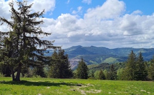 Petit Rosskopf