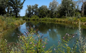 Petite Camargue Alsacienne
