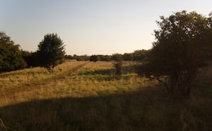 Plateau d'Algrange