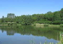 Ponds of Givry