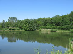 Ponds of Givry