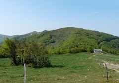 Rainkopf