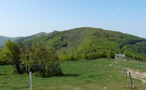 Rainkopf